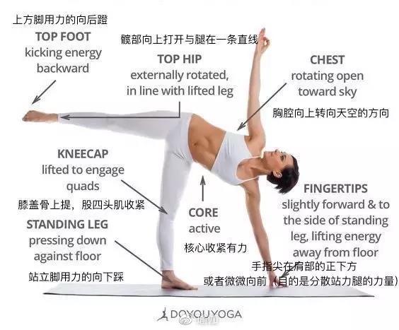 28张瑜伽体式细节图yl6809永利(收藏级)正位练习很重要初学者必看！(图9)