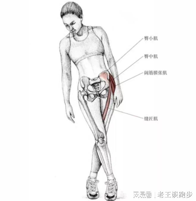 跑后必做永利app手机版官网的四个拉伸动作远离跑步膝！(图6)