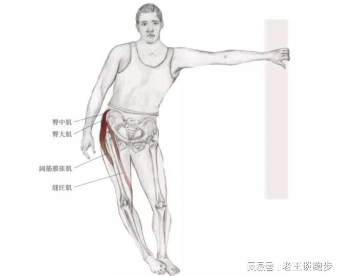 跑后必做永利app手机版官网的四个拉伸动作远离跑步膝！(图7)