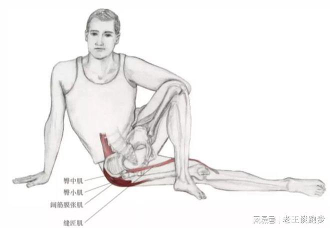 跑后必做永利app手机版官网的四个拉伸动作远离跑步膝！(图8)