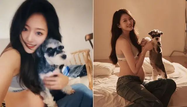 闫学晶儿媳拍孕妇美照穿运yl6809永利动内衣紧搂爱犬肚子太大裤链拉不上(图3)