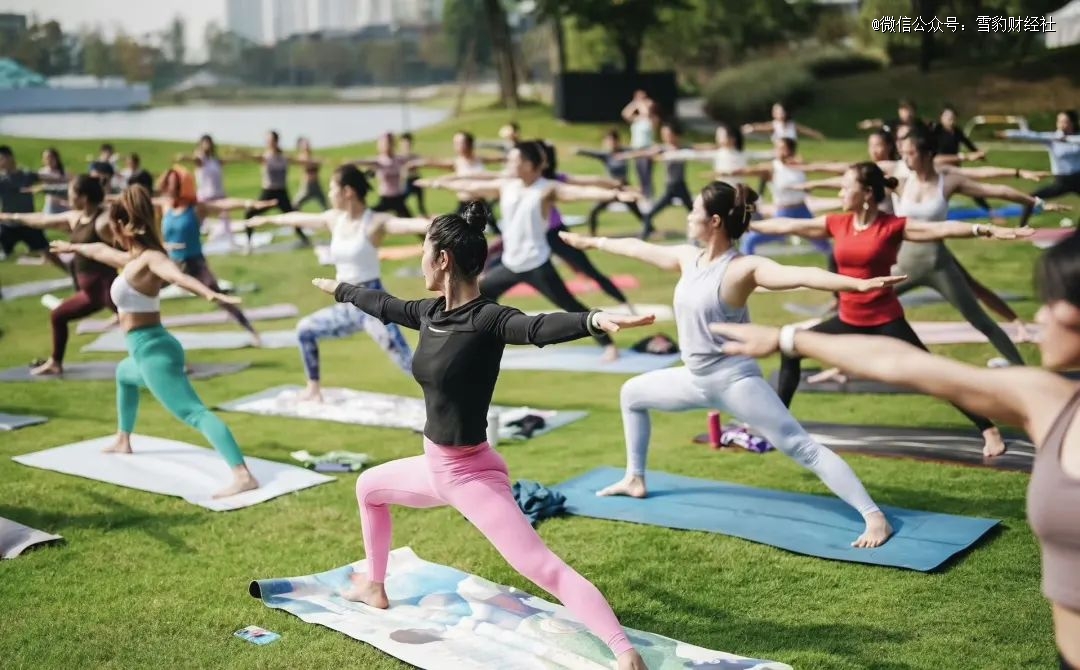 平替环伺 lululemonyl8cc永利官网「瑜伽界爱马仕」没有秘密(图2)