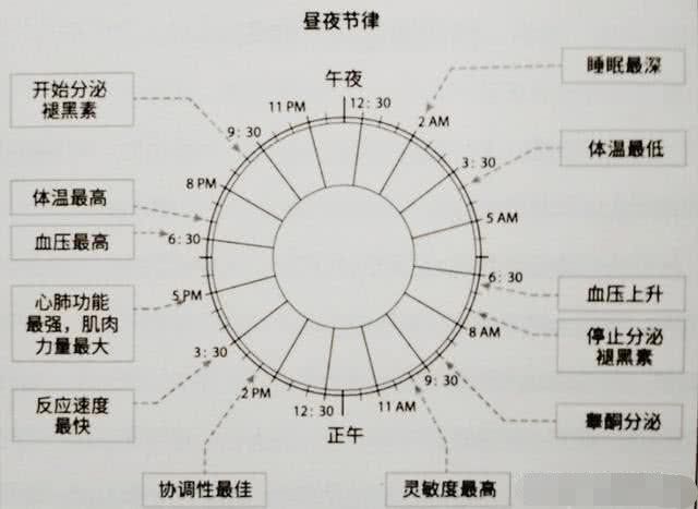 你不知道的健身小知识：锻炼身体的最佳时间是什么时yl6809永利候(图2)